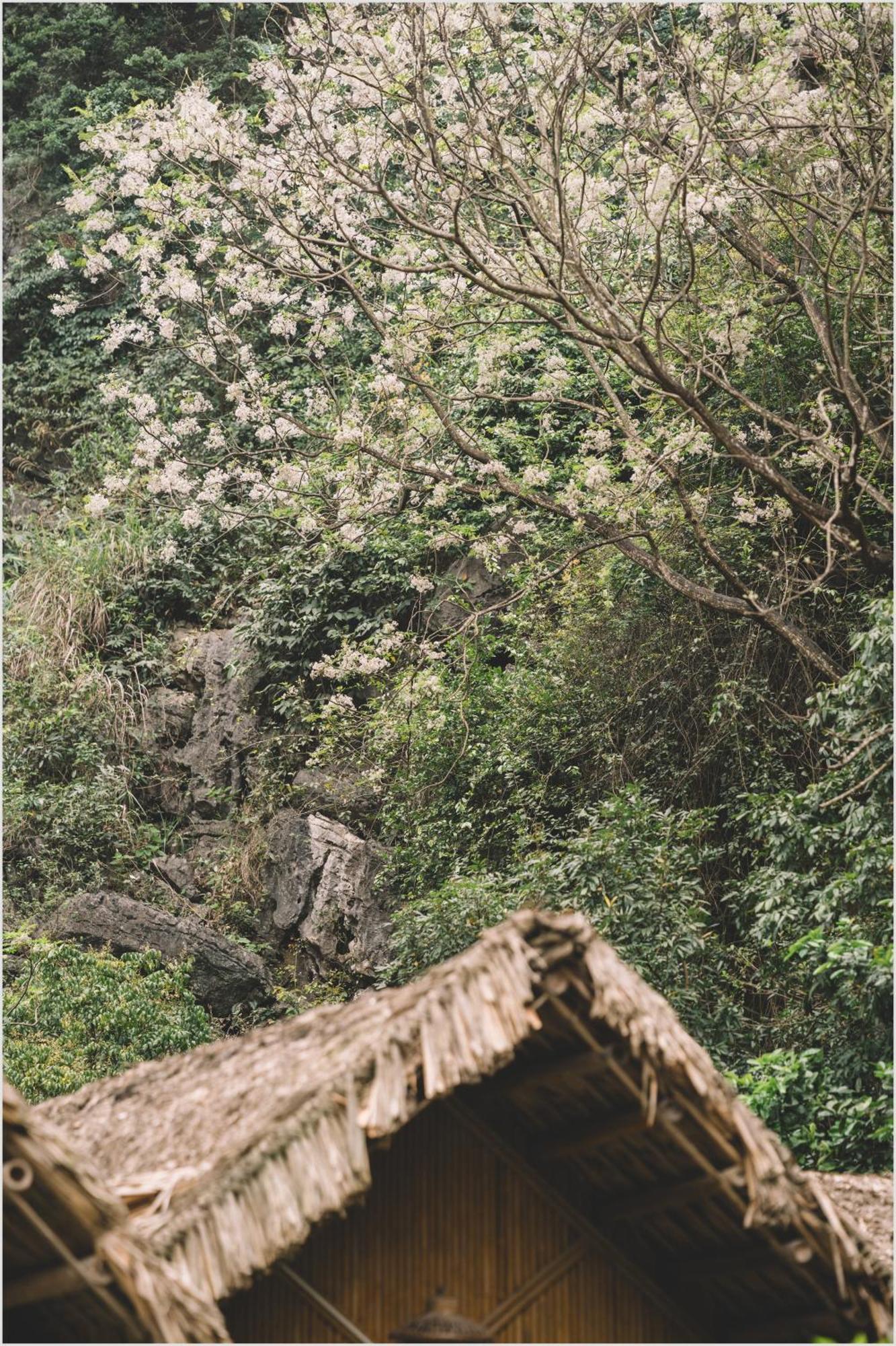 Trang An Mountain House Lejlighed Ninh Binh Eksteriør billede